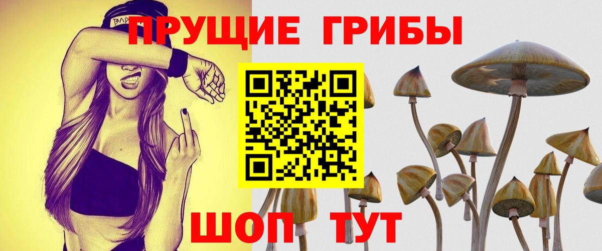 Галлюциногенные грибы мухоморы  где найти   Воткинск  Вход с VPN  Галлюциногенные грибы ЛСД 